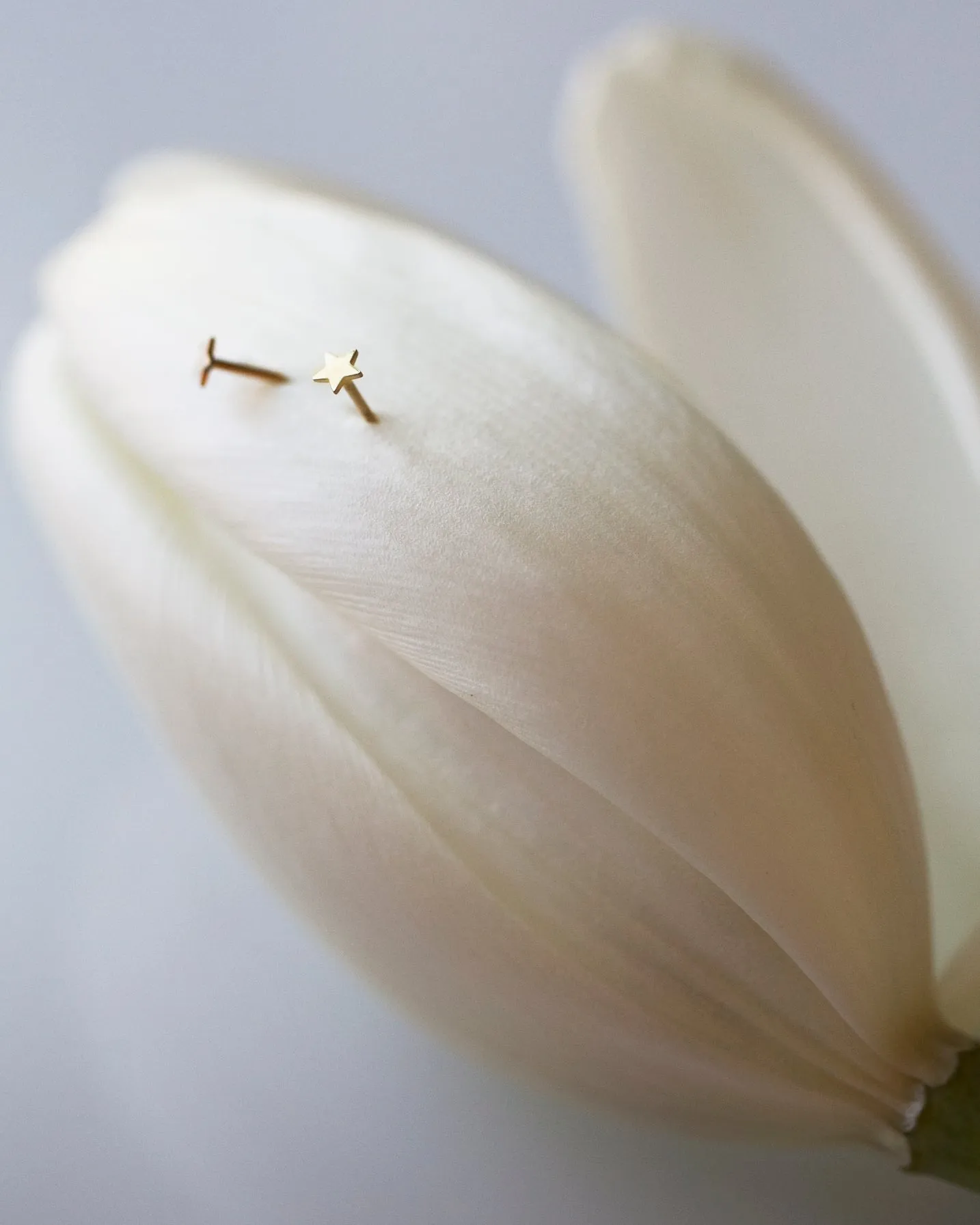 14K Mini Star Stud Earrings