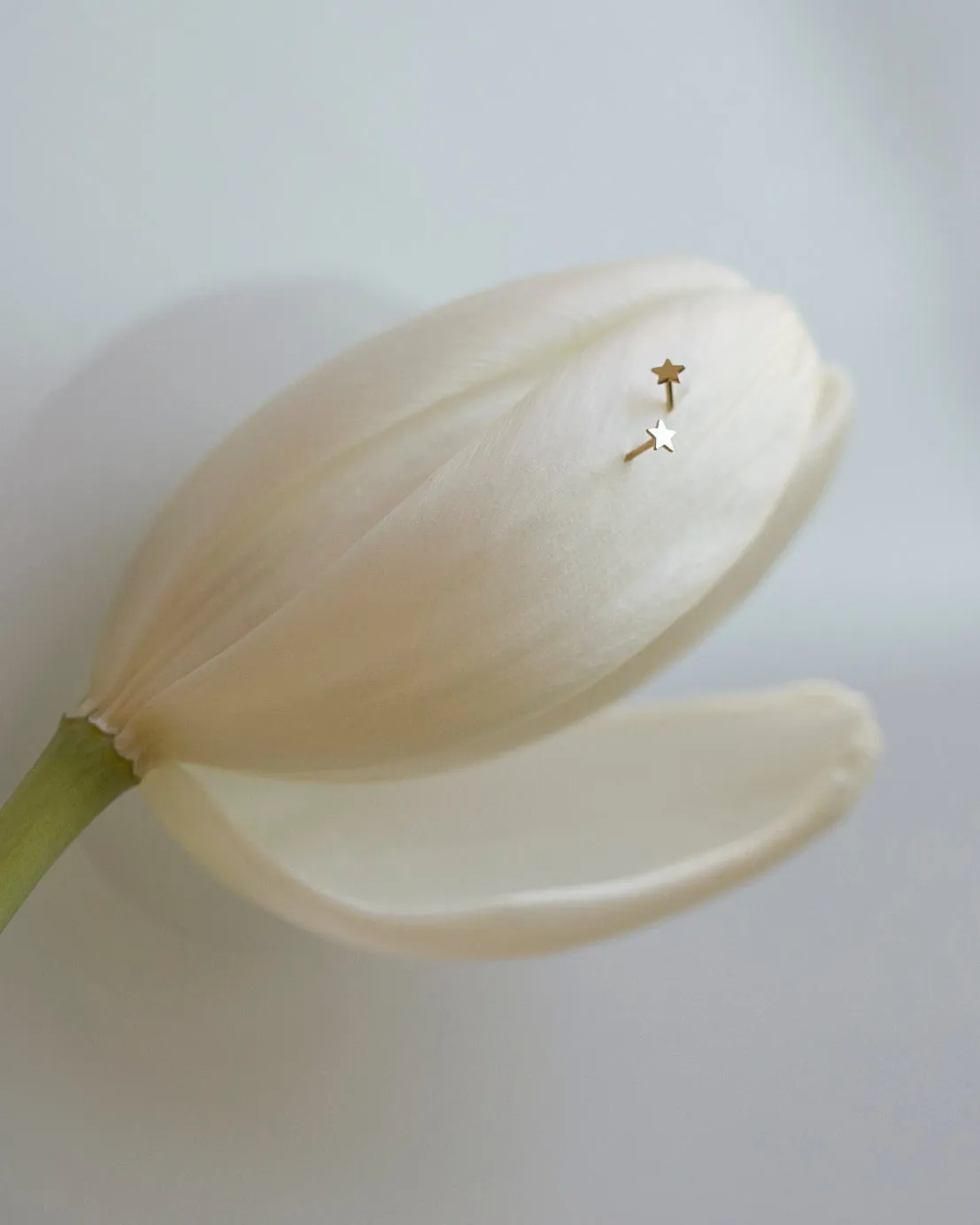 14K Mini Star Stud Earrings