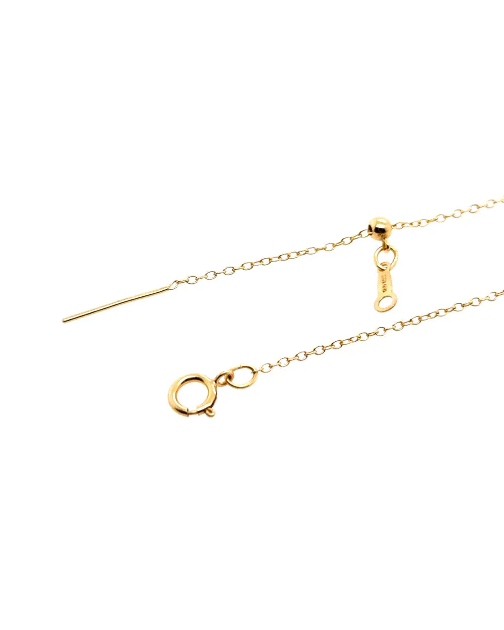 Dainty Zodiac Anklet