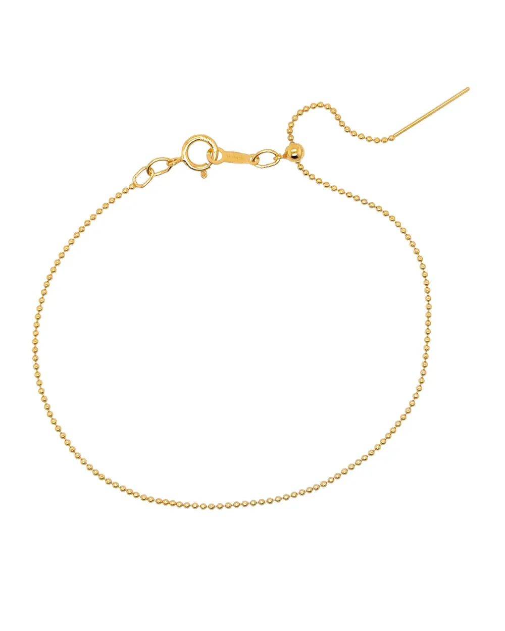 Dainty Zodiac Anklet