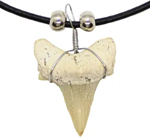 FROG SAC Natural Shark Tooth Necklace for Boys, Genuine Fossil Shark Teeth Jewelry Surfer Necklace, Cool Beach Necklaces for Men, Teen Girls Leather Cord Shark Necklace, Shark Tooth Pendant Neckless