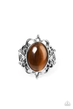 Paparazzi Ring ~ Radiantly Reminiscent - Brown