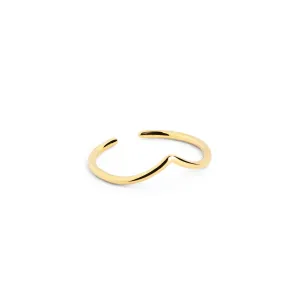 Peak Gold Toe Ring