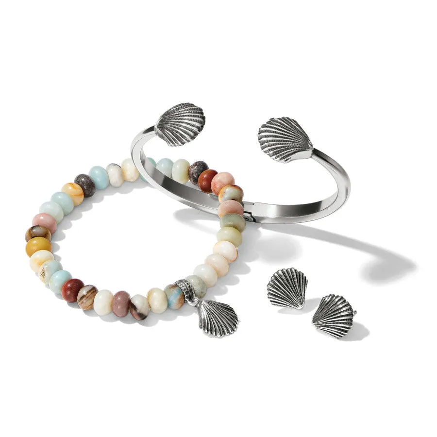 Silver Shells Hinged Bangle